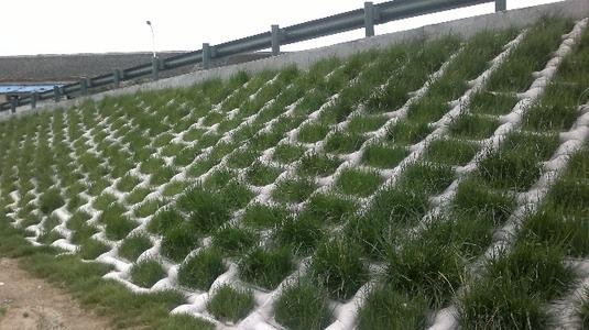 Vegetated Concrete Mattress for Slope Protection levee overtopping protection vegetated concrete mattress landscape scale